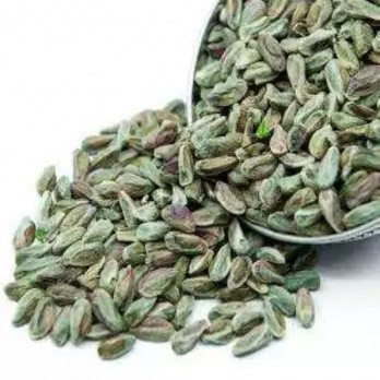 ANTEP FISTIK KUŞBOKU 2 KG