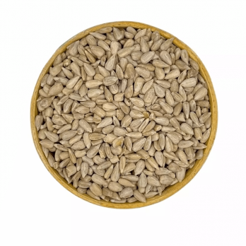 AYÇEKİRDEK İÇİ TOMBUL 1CVL-25KG