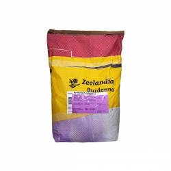 Zeelendia Burdenno Velvet Purple 10 Kg