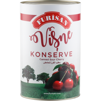 FURİKON KONSERVE VİŞNE 1TN-5KG