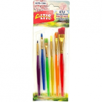 PLASTİK RENKLİ FIRÇA SET 6 LI