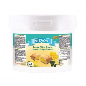 VİZYON DOLGU EASY LİMON 6 KG